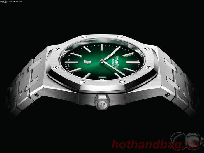 Audemars Piguet Watch APW00028